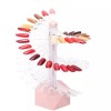 네일 디스플레이 컬러차트 네일아트 전시대 진열대 웨딩네일 Nail Display Color