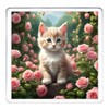 Kitten Coaster Set. 4 different Kitty Cat Pictures on 10cm