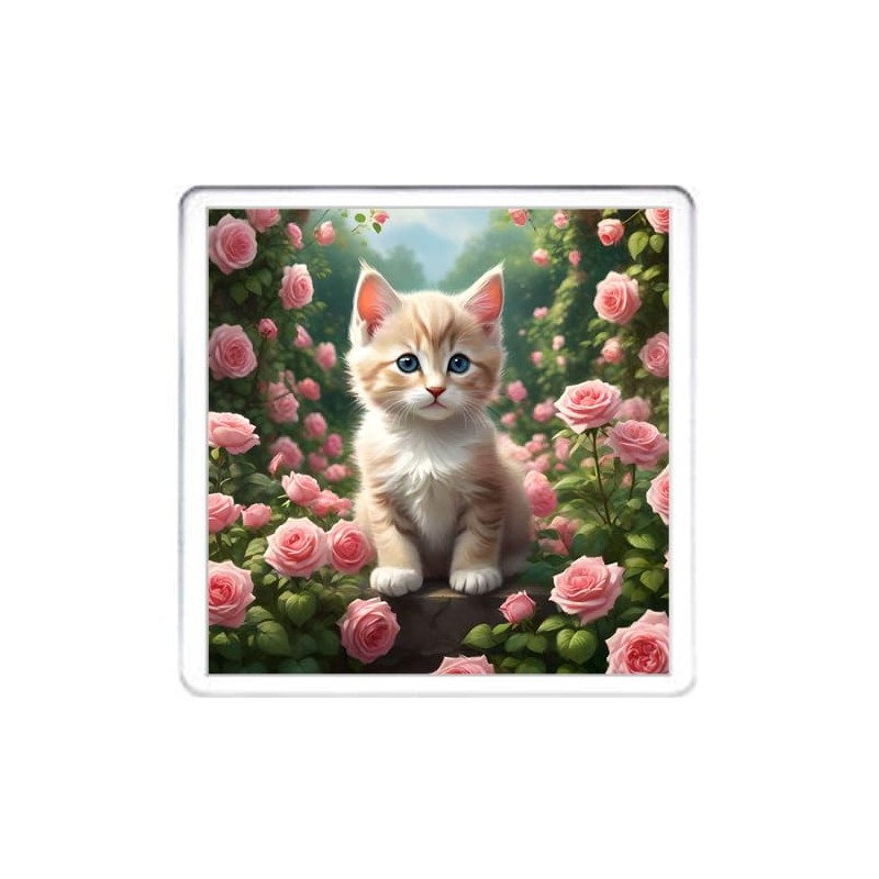 Kitten Coaster Set. 4 different Kitty Cat Pictures on 10cm