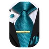 Hi-Tie Ties for Men Neck Tie Pocket Square Set Wedding