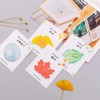 ERCENTURY Sticky Notes in 4 Leaf-Shaped Designs (30 Sheets per