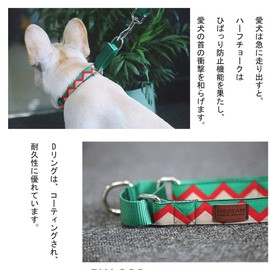 [DB] Collar, Dog, Half Chalk, Medium Dog, Large Dog, Dog Collar, For Training/Training, Martingale Color, Pull Resistant, Nylon Collar, Durable, Adjustable (M, Rainbow Series 3)