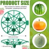 GLOGLOW 10 Pieces Melon Cantaloupe Squash Cantaloupe Squash Cantaloupe Squash