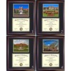 Florida State Diploma Frame - Photo Option #3 - Walnut