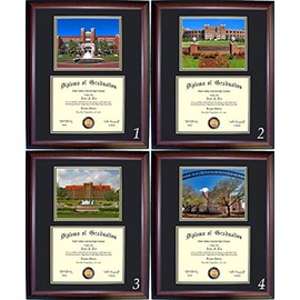Florida State Diploma Frame - Photo Option #3 - Walnut Frame