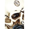 Alchemy England Alchemist Skull: Miniature Skull Unisex Skull Standard, resin,