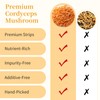 Wanhua Hall Dried Cordyceps Flower Mushroom Dried Cordyceps Mushroom for