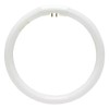 Replacement for Floxite #T5-22W T5-22W Ccircular Fluorescent lamp / Bulb