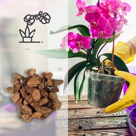 Kalapanta - Bark for orchids, substrate, bark for orchids, ideal for repotting all orchids, 2 L (small, 5-15 mm), allowed in organic farming