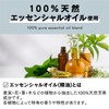 Pellucid WPA-C03 Essential Oil Clean Forest 0.3 fl oz (10