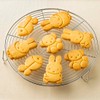 Skater CSM1-A Stamped Cookie Cutter Miffy 4 Piece Set