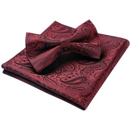 HISDERN Men's Bowtie, One-Touch Bowtie, with Chief, Adult, Weddings, Hook Type, Easy to Put on and Take Off, Adjustable, 07 Burgundy (Paisley), Free size
