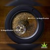 MasonBrite Stash Jar 8 Oz - Airtight Seal - Glass