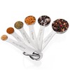 Doosu Measuring Spoons Set of 6-18/8 Stainless Steel Heavy Duty