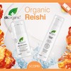 Do Serum Ojos Reishi 15 ml