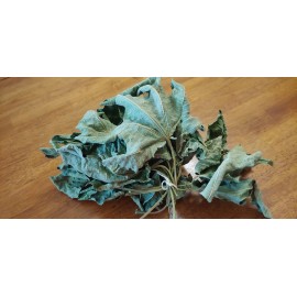 Fresh Leaves HOJAS DE HIGO ORGANICAS SECAS Organic fig Dried leaves Dried leaves-3 oz