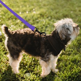 Mile High Life Heavy Duty Dog Leash for Large and Medium Dogs, Reflective Leash for Night Safety, Strong and Durable Leashes for Walking and Training (4FT x 1''Wide, Purple)