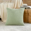 FDTERN Set of 2 45 x 45 cm Pale Green