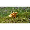 Forest Food Shop Dried Chanterelle Mushrooms 3 Ounce – Handpicked