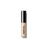 The Saem Cover Perfection Tip Concealer / 더샘 커버 퍼펙션