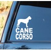 C1138 Cane Corso Decal Sticker
