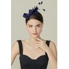 BABEYOND Fascinator Headband for Women - Tea Party Headpiece Kentucky