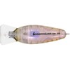 Livingston 072010209 Señuelo de Pesca DM Jr True Bream