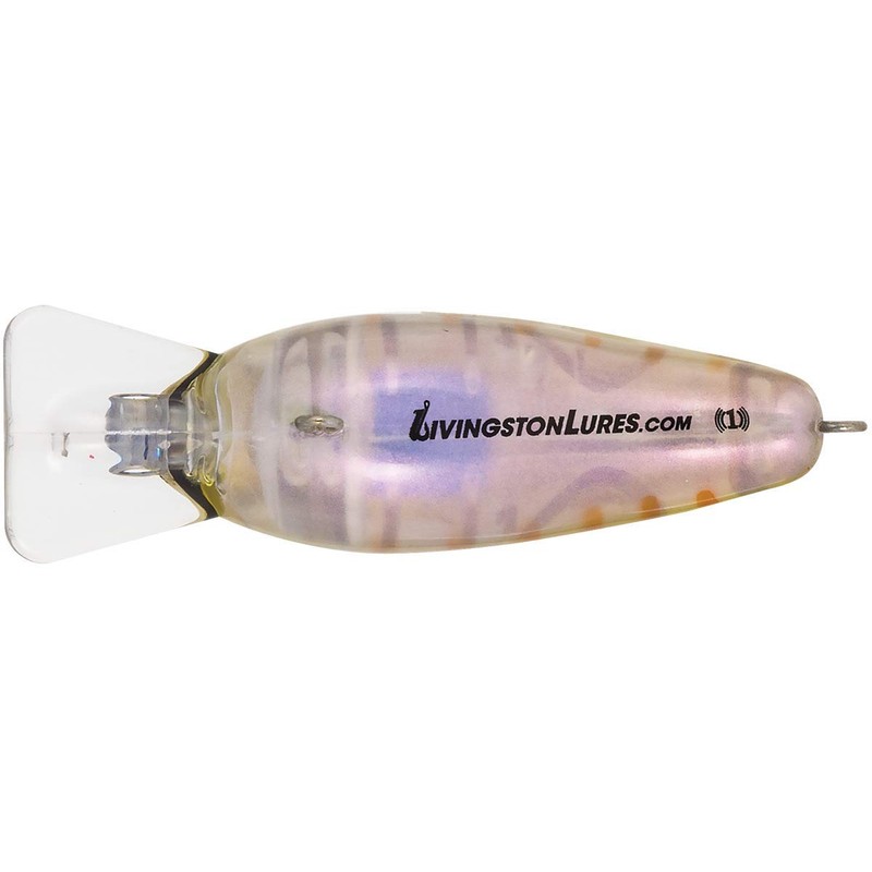 Livingston 072010209 Señuelo de Pesca DM Jr True Bream