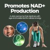 Nutrality NAD+ Nicotinamide 60 Capsules | High Strength NMN Supplements