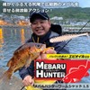 Daiwa Mebaru/Aji Worm, Mebaru Hunter Worm, Shad 1.5, Glow White