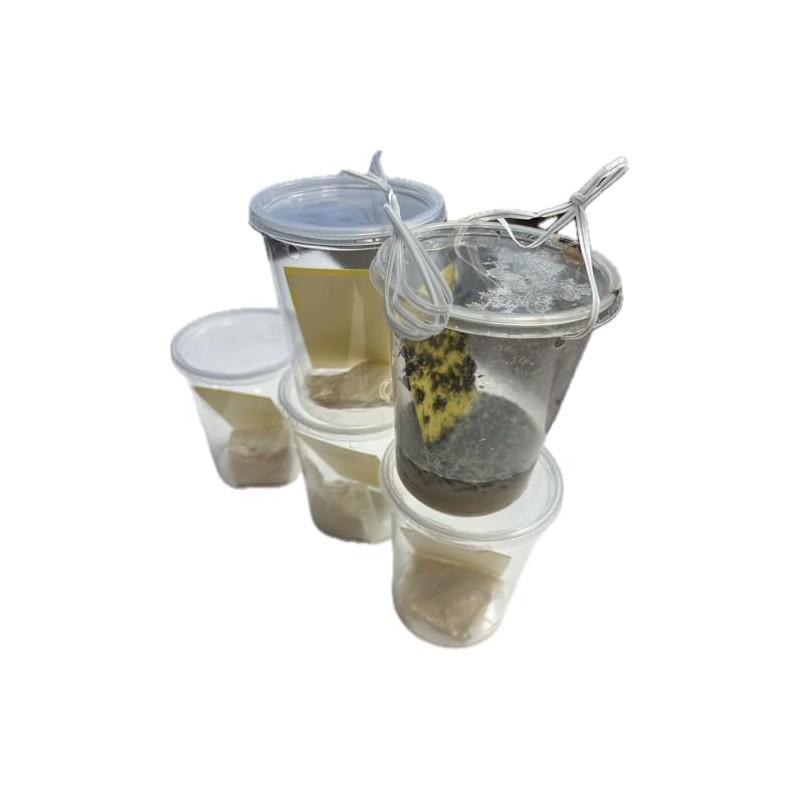Olson Cup Trap for Flies - 5 Pack, clear/ yellow