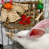 XLpeixin Rabbits Chew Toy,Bunny Cage Hanging Chew Toys and Treats,Grass