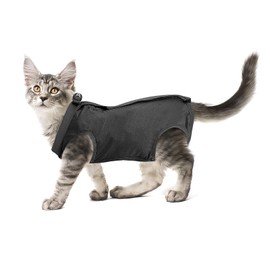cobee Cat Professional Recovery Suit for Abdominal Wounds or Skin Diseases, Kitten Surgery Recovery Suit E-Collar Alternative for Cats After Surgery Wear Pajama Suit (M Size, Gray)