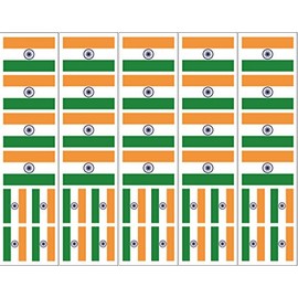 40 Removable Stickers: Indian Flag, India Party Favors, Decals