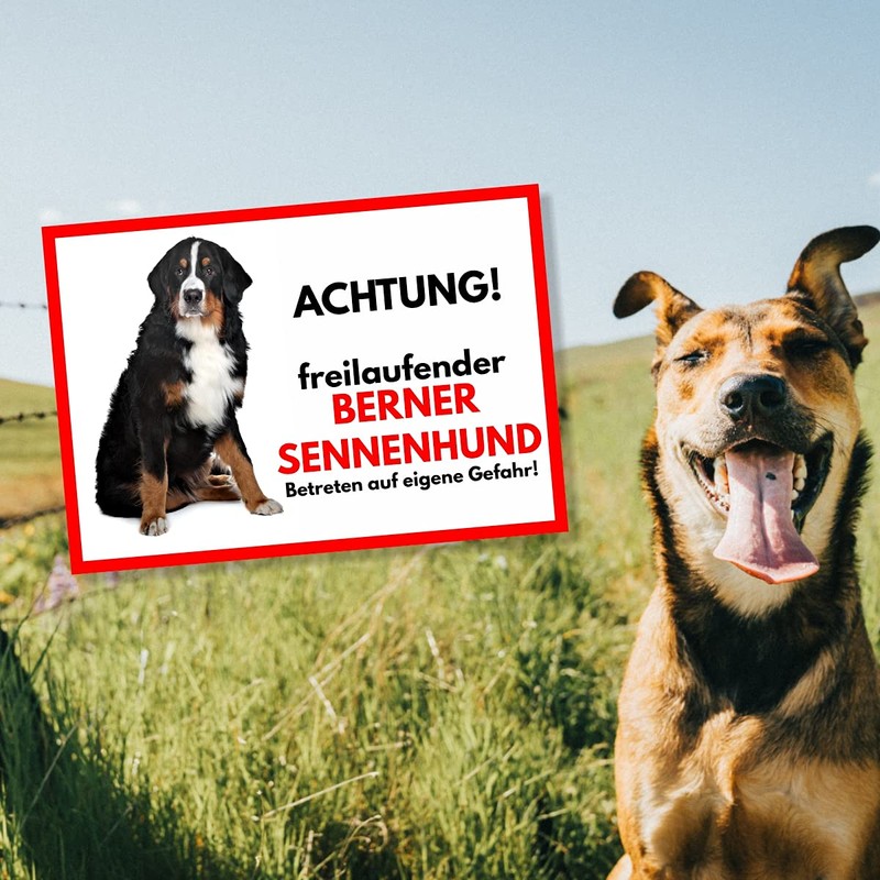 Bernese Mountain Dog Free-Ranging Dog Sign with Saying Door Sign