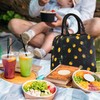 YumSur Lunch Bag Insulated Tote Bag Lunch Box Resuable Cooler