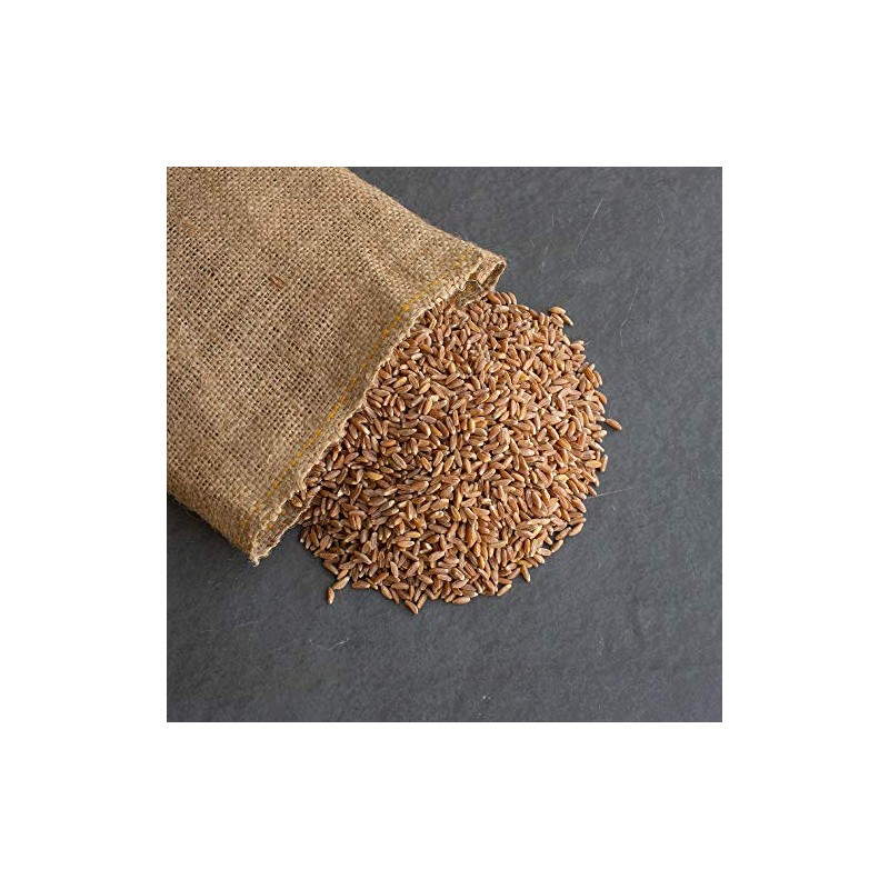 Organic Pearled Emmer Wheat - AKA: True Farro - 1