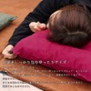 Prairie House XAA358G Chamois Air Pillow, Chamois Style, Automatic Inflation,