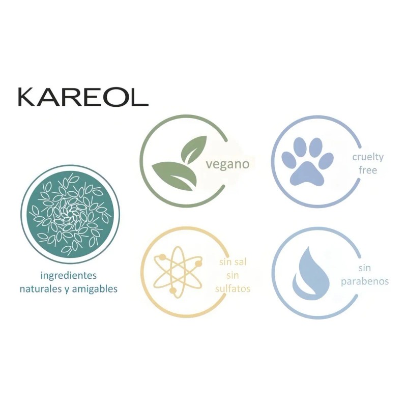 Kareol Shampoo Post Alisado Brasileo Mantiene Y Prolonga