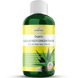 GARDENWISE Organic Premium Kelp Seaweed Concentrate - Liquid Hydroponics Fertilizer - Liquid Plant Food - Nutrient-Rich Soil Enhancer - Natural Plant Food for Aloe Vera (8 OZ)