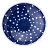 西海陶器 Bluer Round Lightweight Stamped Needle Plate for 5pc 13309 