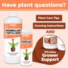 Bromeliad Fertilizer for All Bromeliaceae Plants, Liquid Plant Food 8
