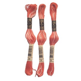 DMC 6-Strand Embroidery Cotton 8.7yd - Variegated Coral - 117-106 - Bundle of 3 Skeins