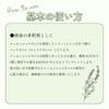 生活の木 ホホバオイル・クリア 精製/Jojoba Clear(Refined) 植物油 キャリアオイル プラントオイル トリートメントオイル ベジタブルオイル マッサージ