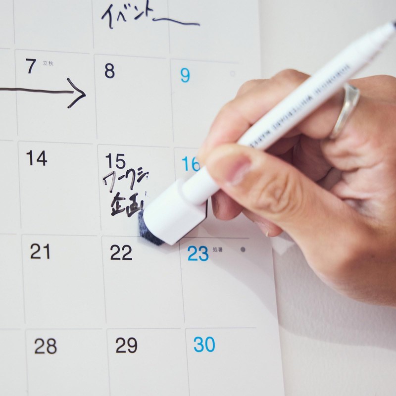 Almost Day Dry Erase Calendar 2025 Medium Wall Mount