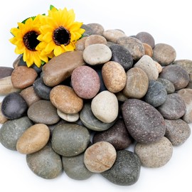 NUPICK 6lb Mexican Beach Pebbles, 2-3" Large River Rocks for Landscaping
