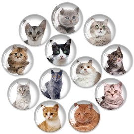 12Pcs Glass Refrigerator Magnet Fridge Sticker, Fridge Magnets Decoration, Strong Fridge Magnets for Kitchen, Cabinet, Dishwasher, School and Office Whiteboard (Cat)