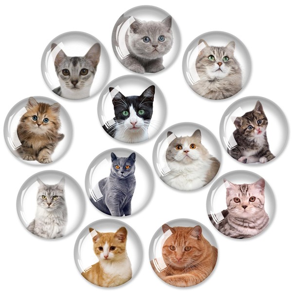 12Pcs Glass Refrigerator Magnet Fridge Sticker, Fridge Magnets Decoration, Strong