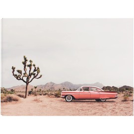 Fine Art Canvas In the desert Canvas Wall Decor by Artist Sisi & Seb for Living Room, Bedroom, Bathroom, Kitchen, Office, Bar, Dining & Guest Room - Ready to Hang - 43 in x 32 in