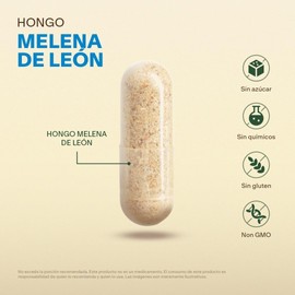 Hongo Melena de Leon 100% Puro. Con 200 capsulas de 500mg (Más de 6 meses). VitalBotanics. Suplementos de Hongo. Lions Mane Nootropic Mushroom. Libre de Gluten y Aditivos. Apto Dieta Keto